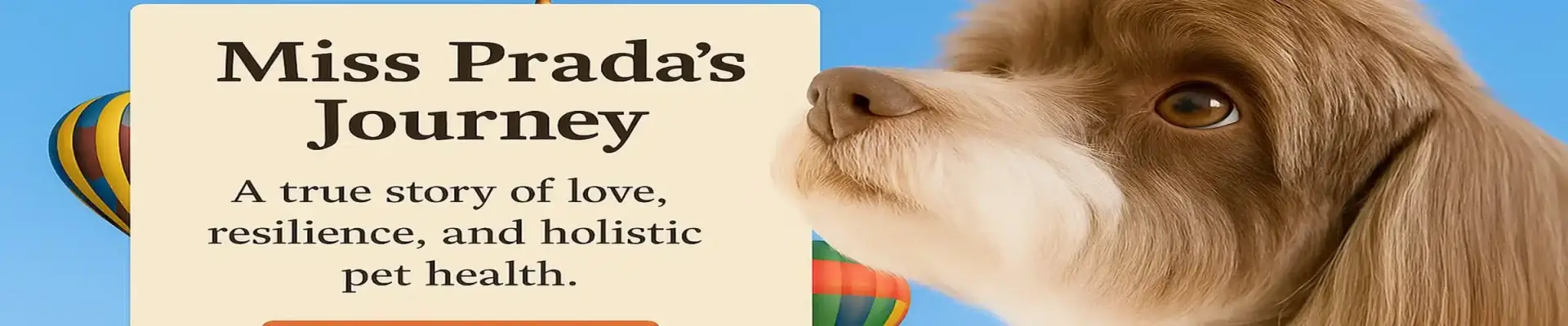 Miss Prada’s Journey Banner – My Favorite Health Depot Miss Prada the Havanese dog beside a wellness banner reading “Miss Prada’s Journey – A true story of love, resilience, and holistic pet health.” Slider image for My Favorite Health Depot.