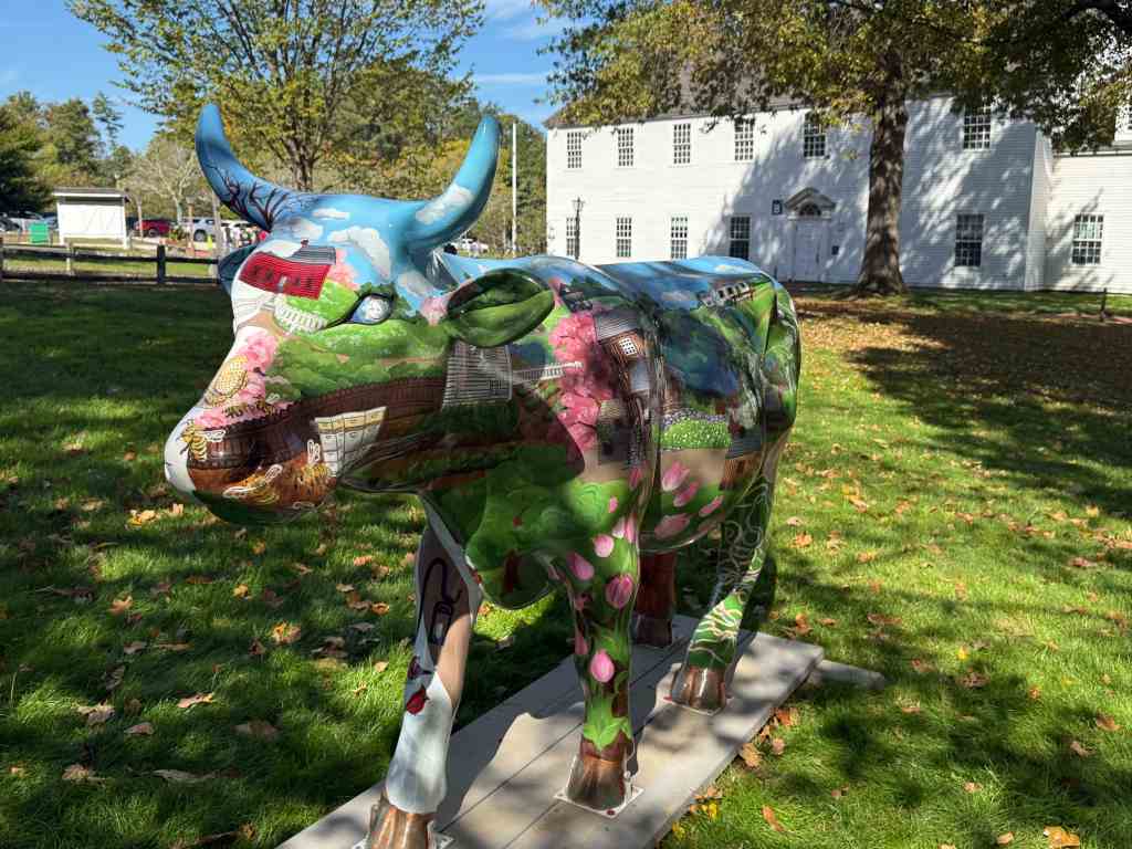 Colorful painted cow statue at Old Sturbridge Village during our New England Fall Coastal Trip